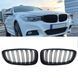 Решітки радіатора BMW F34 GT M  Performance ніздрі двореберні 241-a45 фото 1