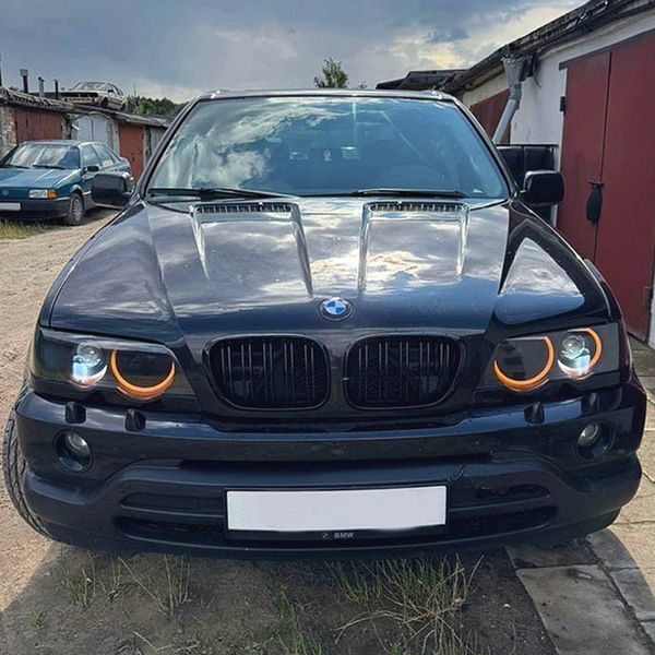Решетки радиатора BMW X5 E53 дорестайл M Performance ноздри двухреберные c3a-c13 фото